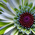 A macro photograph capturing the delicate details of a vibrant flower petal2, Generative AI