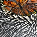 A macro photograph capturing the intricate details of a delicate butterfly wing3, Generative AI