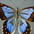 A macro photograph capturing the intricate details of a delicate butterfly wing4, Generative AI