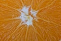 Macro photograph of the center of an orange