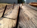 Macro Photograph of Centered Rusty Nails in a Board