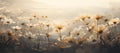 Macro photograph of daisy flowers