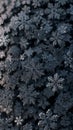Macro Photograph of Beautiful Snowflakes in Blue Light â Winter Ice Crystal Pattern and Cold Frozen Texture Royalty Free Stock Photo
