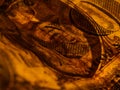 Macro photograph of a one dollar bill. Money shots