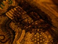 Macro photograph of a one dollar bill. Money shots