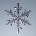 Macro Photograph of a Perfect Snowflake Royalty Free Stock Photo