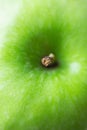Macro Photograph of Ripe Organic Green Apple with Texture Imperfections. Selective Focus on Stem Tip. Food Background