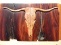 Macro Photograph of Steer Skull Inlay Royalty Free Stock Photo