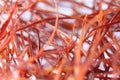 Macro photograph view of saffron with selective focus