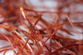 Macro photograph view of saffron with selective focus