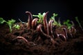 Macro photographs of earthworms in soil Royalty Free Stock Photo