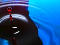 Macro photography, blue and red water drop / ink drops splash and ripples, wet, conceptual art, environmental, conservation. Royalty Free Stock Photo