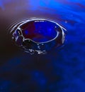 Macro photography of blue water drop / ink drops splash and ripples, wet, conceptual art, environmental, conservation. Royalty Free Stock Photo