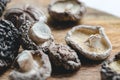 Macro photography of Chinese dried mushrooms Shiitake Royalty Free Stock Photo