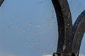 macro photography of cobweb covered in water drops Royalty Free Stock Photo