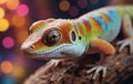 Macro photography of a colorful iguania lizard perched on a rock