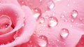 Macro Photography, Crystal Clear Dewdrops on Pink Rose Petals - Nature\'s Beauty Royalty Free Stock Photo