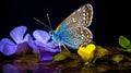 Macro Photography: Detailed Portrait Of Blue Butterfly On Pink Flowers Royalty Free Stock Photo