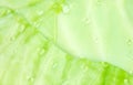 Macro photography of fresh green cabbage leaf with water drops. Organic fresh vegetable, background Royalty Free Stock Photo