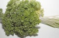 Macro photography of fresh parsley leaves. Spicy seasoning for first and second courses. An element of decoration of culinary deli