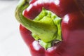 Macro photography of fresh, red pepper paprika