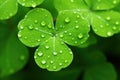 Macro photography highlights the exquisite patterns and verdant richness of a clover leaf, serving as a splendid