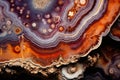 Macro photography of intricate patterns in a slice of agate