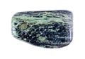 polished rhyolite gem stone on white