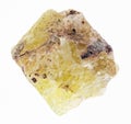 rough saamite (fluorapatite) stone on white