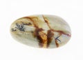 tumbled chinese Picture jasper stone on white Royalty Free Stock Photo