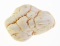 tumbled magnesite gem stone on white