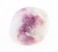 tumbled pink Sodalite stone on white