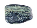 tumbled rhyolite gem stone on white