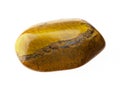 tumbled tiger's eye (tiger-eye) stone on white Royalty Free Stock Photo