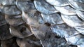 Macro photography of organic texture of silver metallic scales, background with closed up detailed natural shining fish Royalty Free Stock Photo