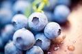 macro photography of organically grown, fresh blueberries