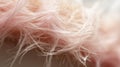 Macro Photography Of Pink Fluffy Hair With Fine Feather Details