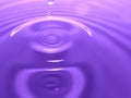 Macro photography of purple pink water drop / ink drops splash and ripples, wet, conceptual art, environmental, conservation. Royalty Free Stock Photo