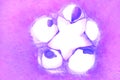 Macro photography of a purple quince cut in half. Inside the longitudinal section is the shape of a star. A round piece
