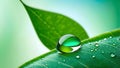 Macro photography of a raindrop suspended from a green leaf. Generative AI Royalty Free Stock Photo