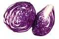 Macro photo of red or purple cabbage cut in half and a quarter, isolated on white background. Fresh raw vegetable, healthy organic Royalty Free Stock Photo