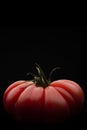 Macro photography of a red tomatoe on a black background