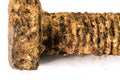Macro photography of rusty bolt white background Royalty Free Stock Photo