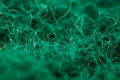 Macro photography of sponge fibers for washing dishes. The texture is green Royalty Free Stock Photo