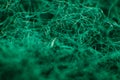 Macro photography of sponge fibers for washing dishes. The texture is green Royalty Free Stock Photo