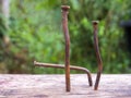 Macro photography of three rusted and bent nails Royalty Free Stock Photo