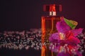 Macro photography of a transparent bottle of perfume standing on a mirror near a beautiful pink flower among rhinestones Royalty Free Stock Photo