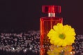 Macro photography of a transparent bottle of perfume standing on a mirror near a beautiful yellow flower among rhinestones Royalty Free Stock Photo