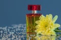 Macro photography of a transparent yellow-red bottle of perfume standing on a mirror near a beautiful yellow flower among Royalty Free Stock Photo