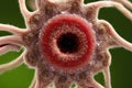 Unhealthy looking virus or microscopic tissue, with intense colors